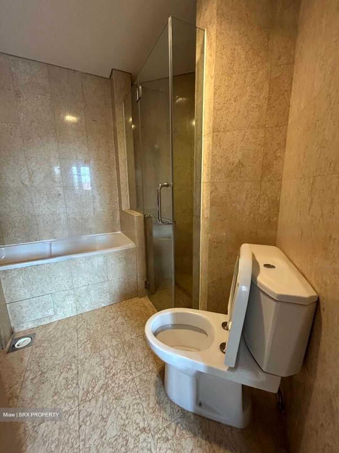 Adam Park Condominium (D11), Condominium #457979021